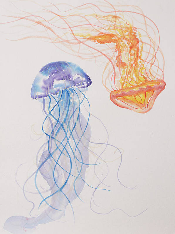 Jellyfish is an emotional artwork, a Heartwork, by Kristen Avolio of a two jellyfish, one blue and one orange.