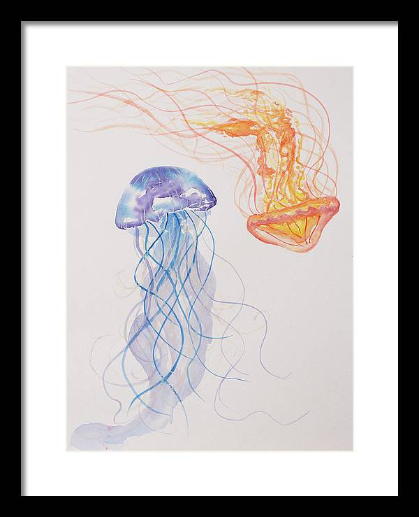 Jellyfish - Framed Print