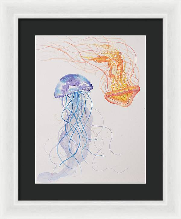 Jellyfish - Framed Print