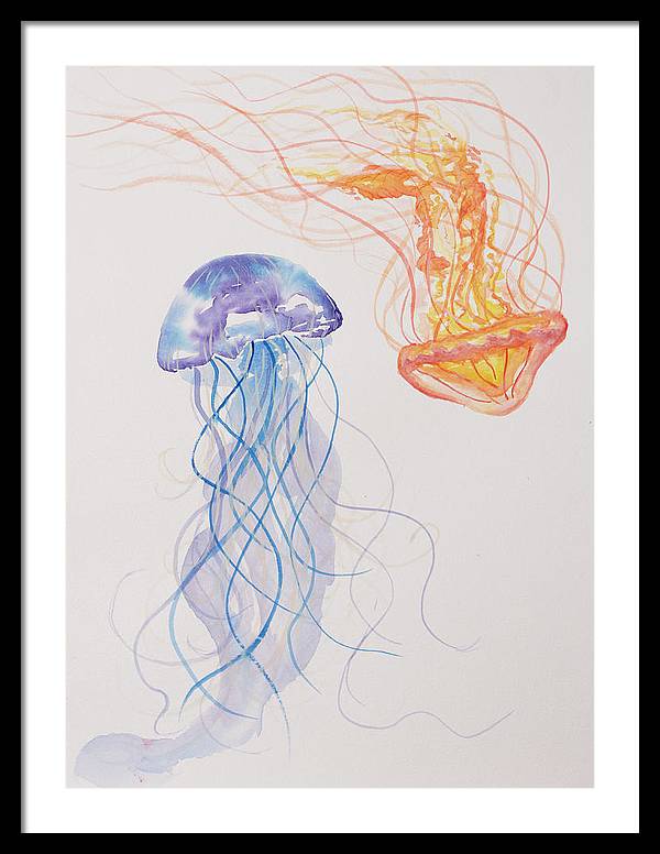 Jellyfish - Framed Print