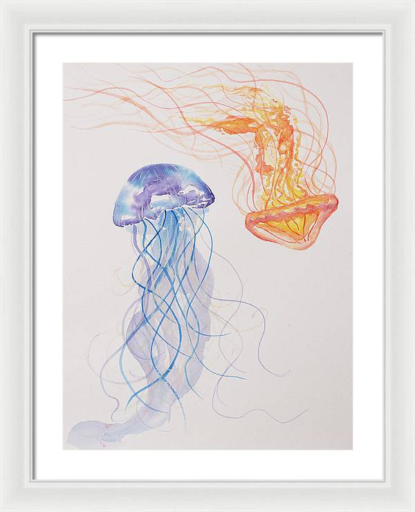 Jellyfish - Framed Print