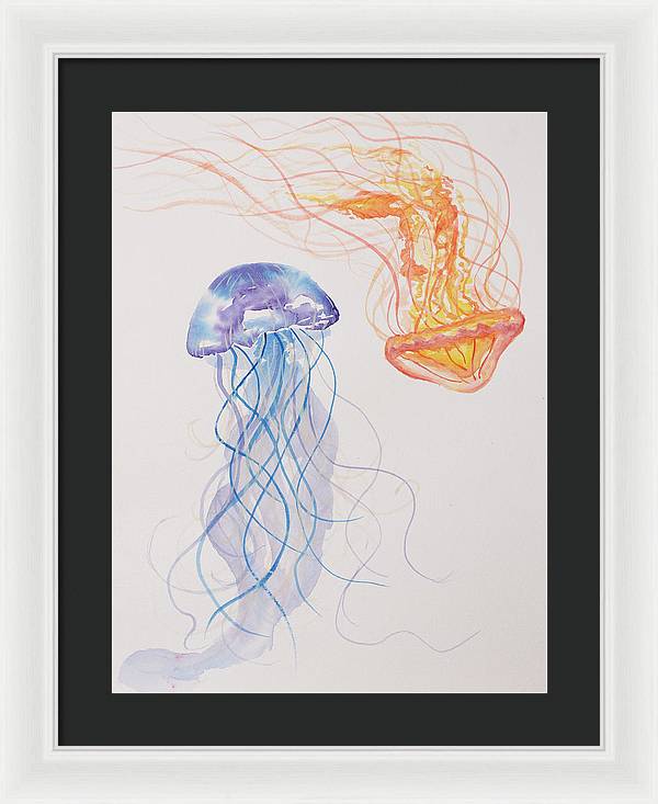 Jellyfish - Framed Print