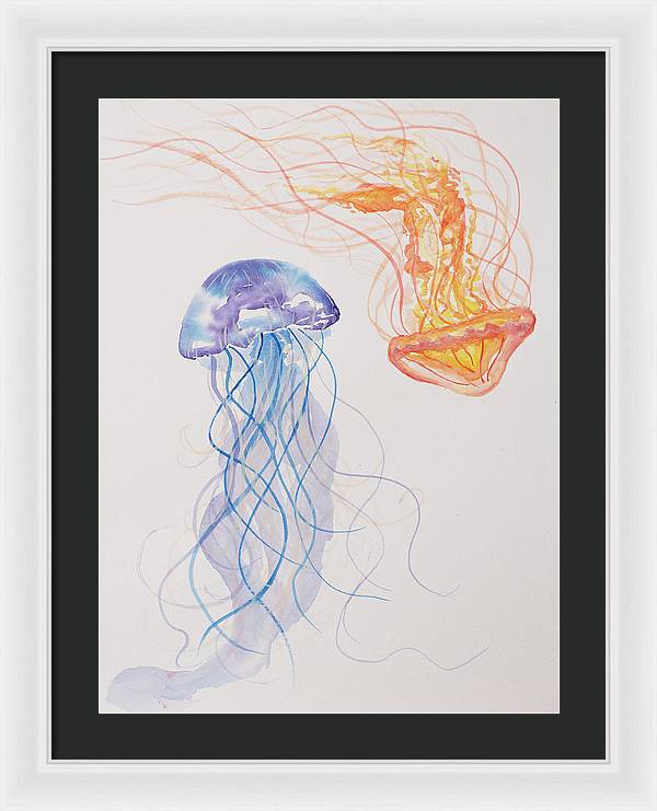 Jellyfish - Framed Print