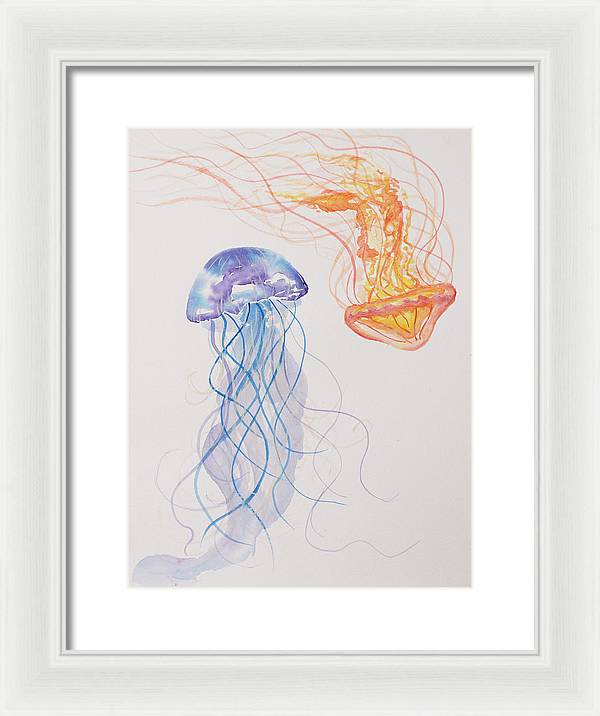 Jellyfish - Framed Print