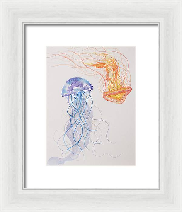 Jellyfish - Framed Print