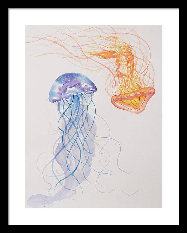 Jellyfish - Framed Print