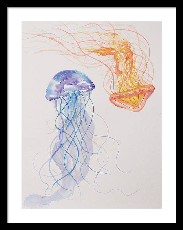 Jellyfish - Framed Print