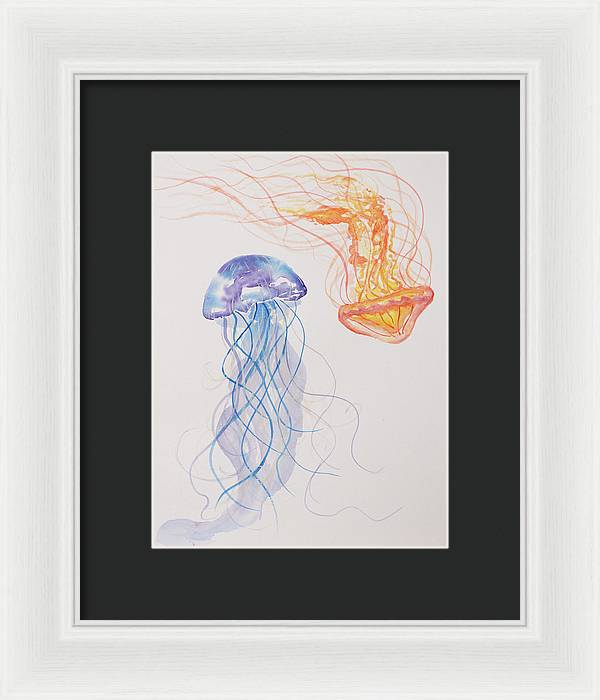 Jellyfish - Framed Print