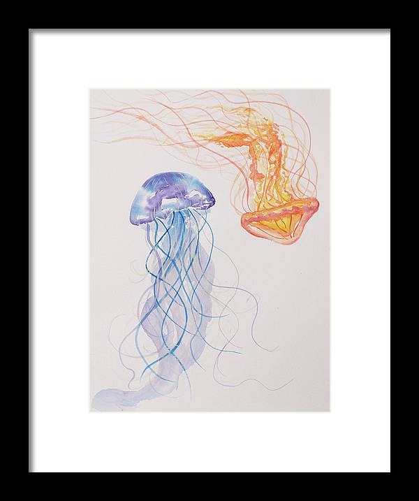 Jellyfish - Framed Print