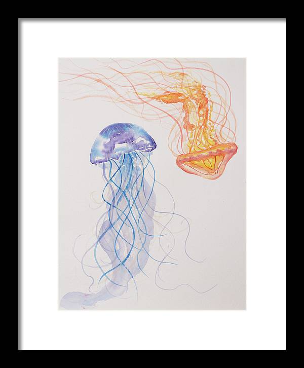 Jellyfish - Framed Print