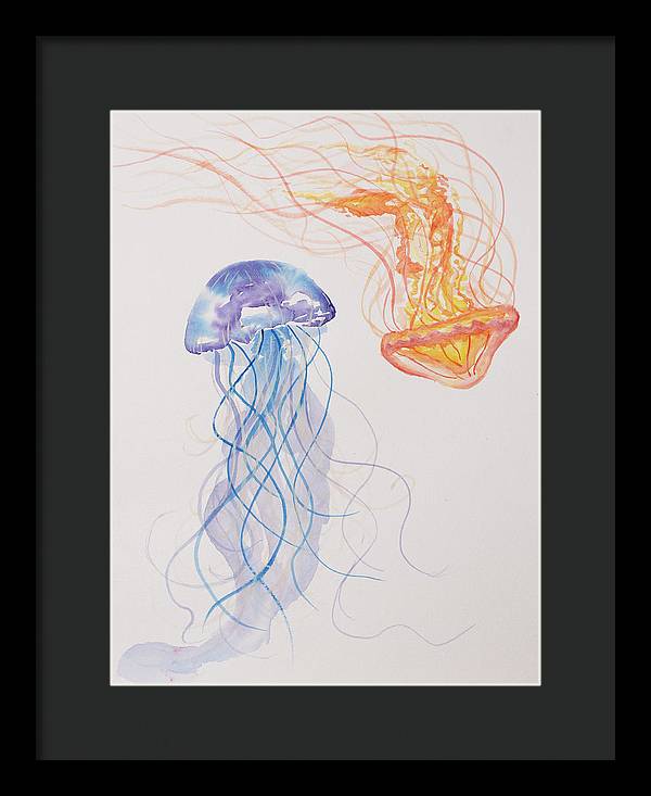 Jellyfish - Framed Print