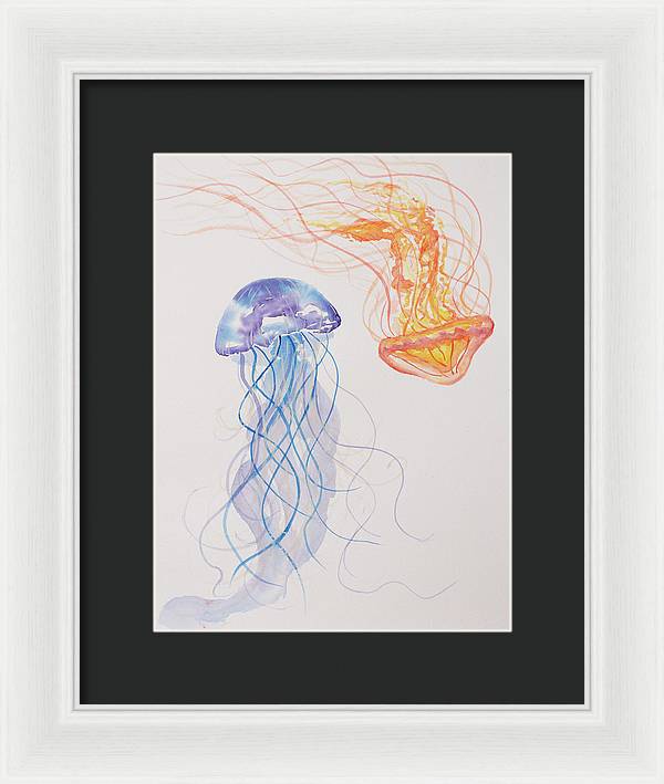 Jellyfish - Framed Print