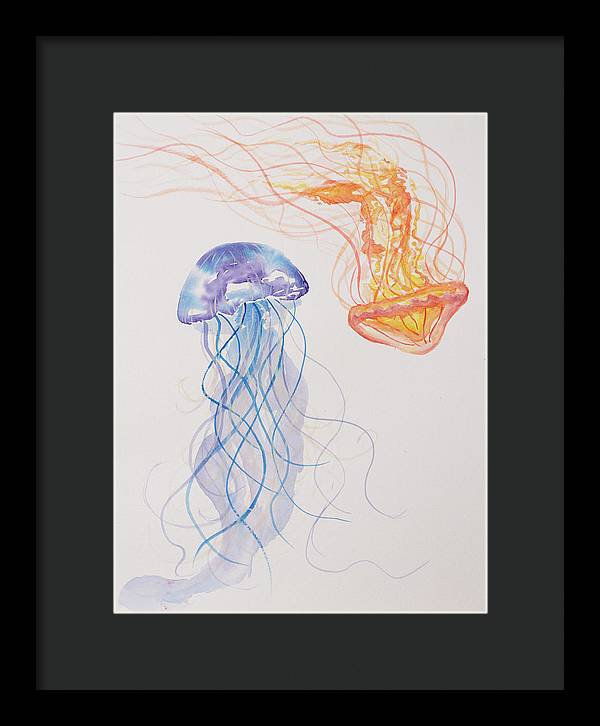 Jellyfish - Framed Print