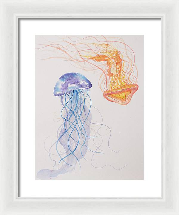 Jellyfish - Framed Print