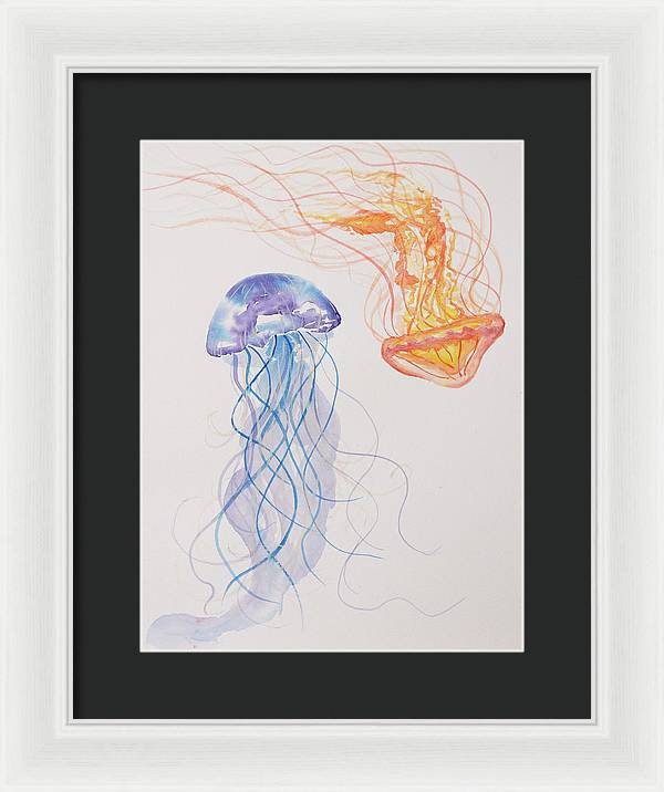 Jellyfish - Framed Print