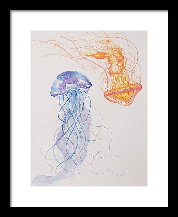 Jellyfish - Framed Print