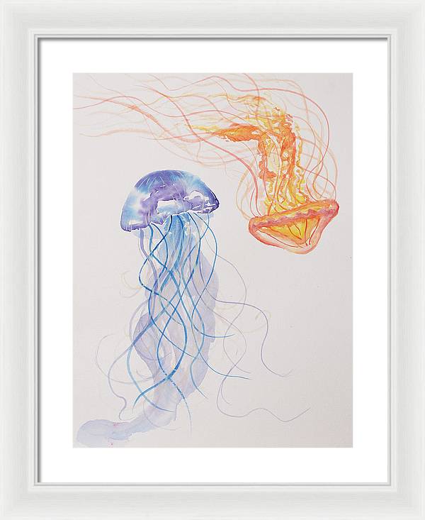 Jellyfish - Framed Print