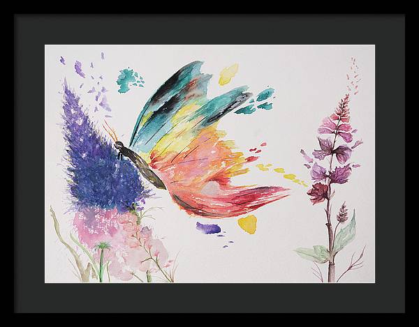 Rainbow Butterfly - Framed Print