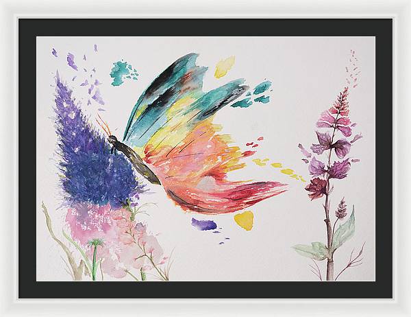 Rainbow Butterfly - Framed Print