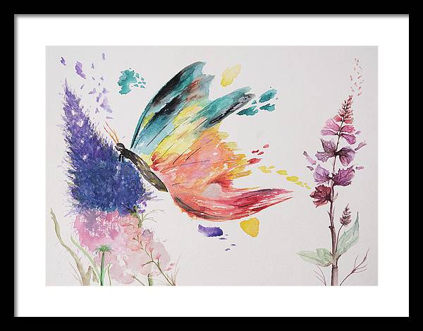 Rainbow Butterfly - Framed Print