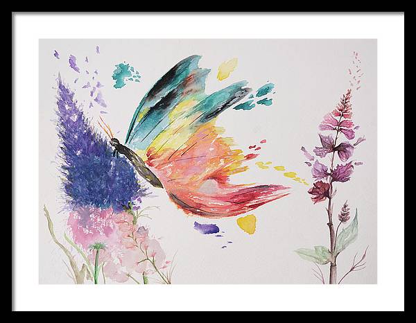 Rainbow Butterfly - Framed Print