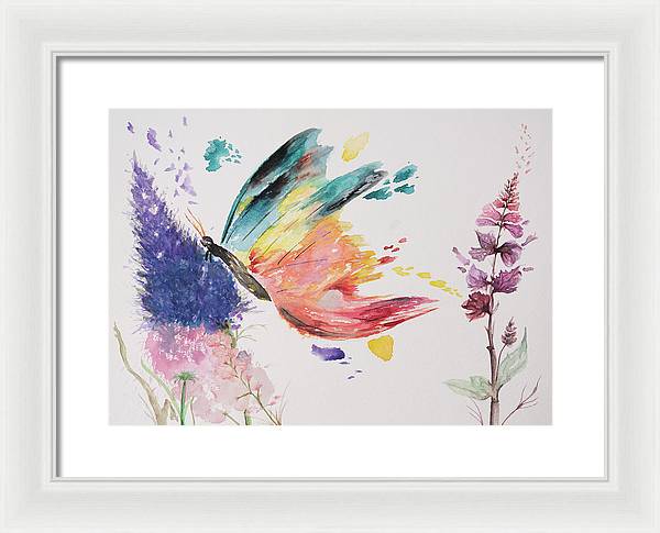 Rainbow Butterfly - Framed Print