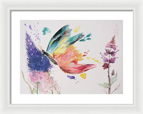 Rainbow Butterfly - Framed Print