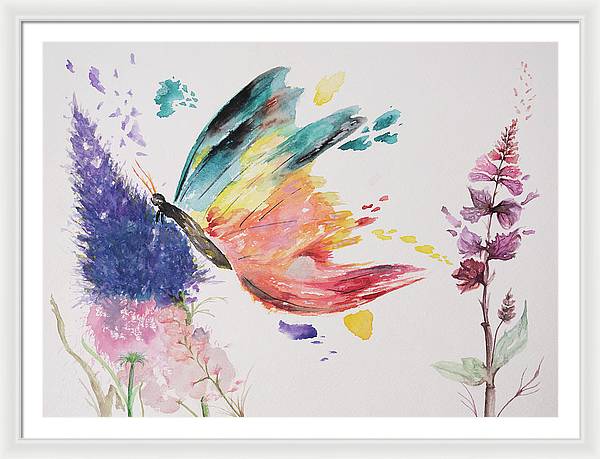 Rainbow Butterfly - Framed Print