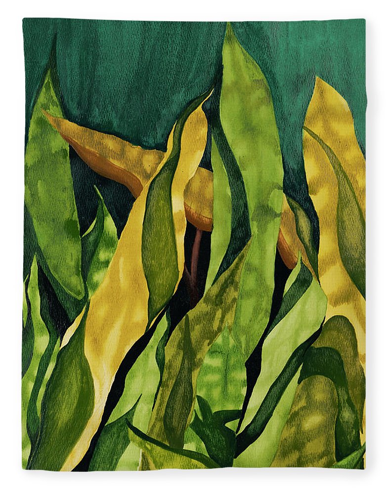 Seagrass - Blanket