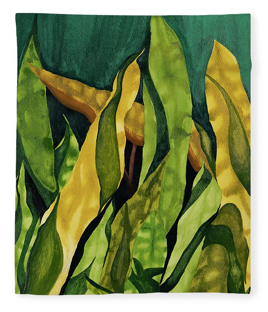 Seagrass - Blanket